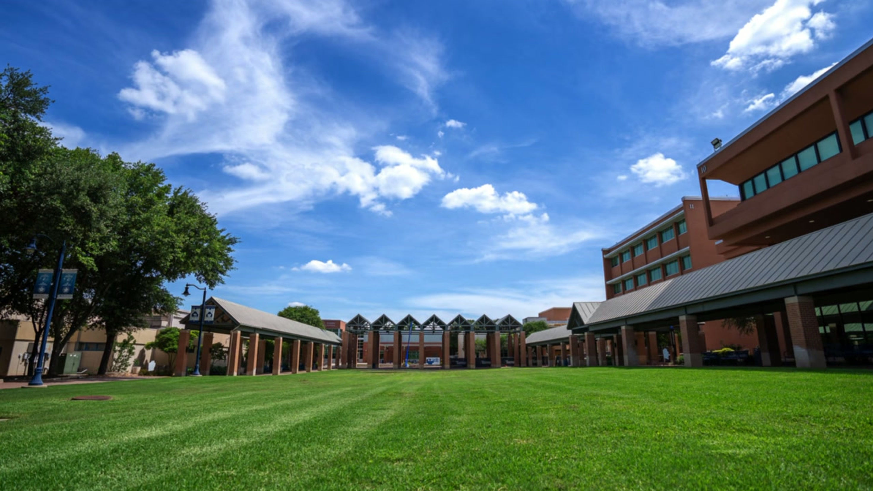 Campaign Launch video